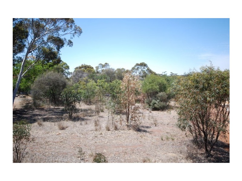 13 Narrakine Road, Narrogin WA 6312