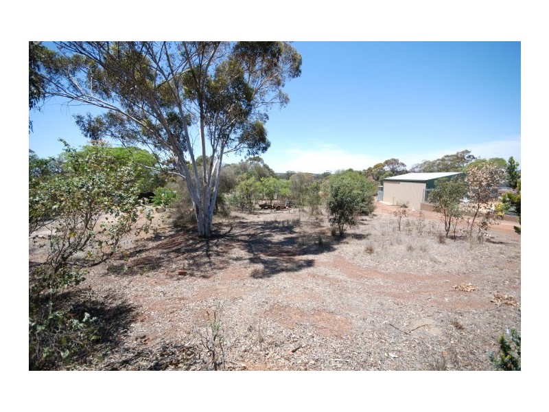 13 Narrakine Road, Narrogin WA 6312