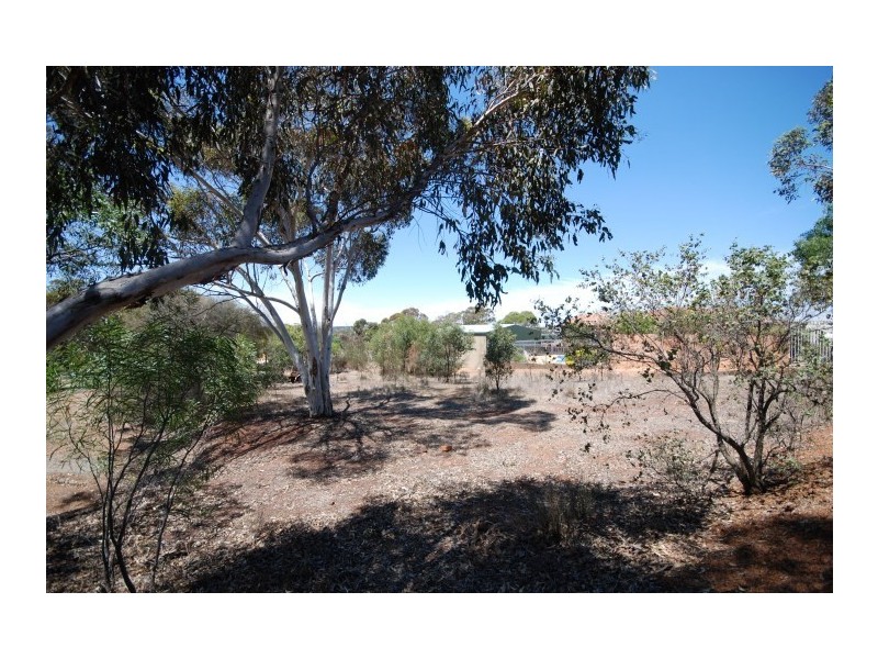 13 Narrakine Road, Narrogin WA 6312