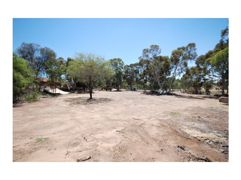 13 Narrakine Road, Narrogin WA 6312