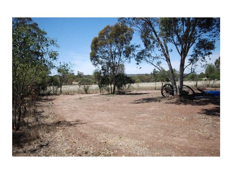 13 Narrakine Road, Narrogin WA 6312