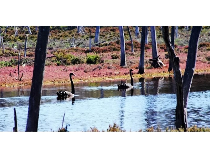 Lot  2560 Great Southern Highway, Highbury WA 6313