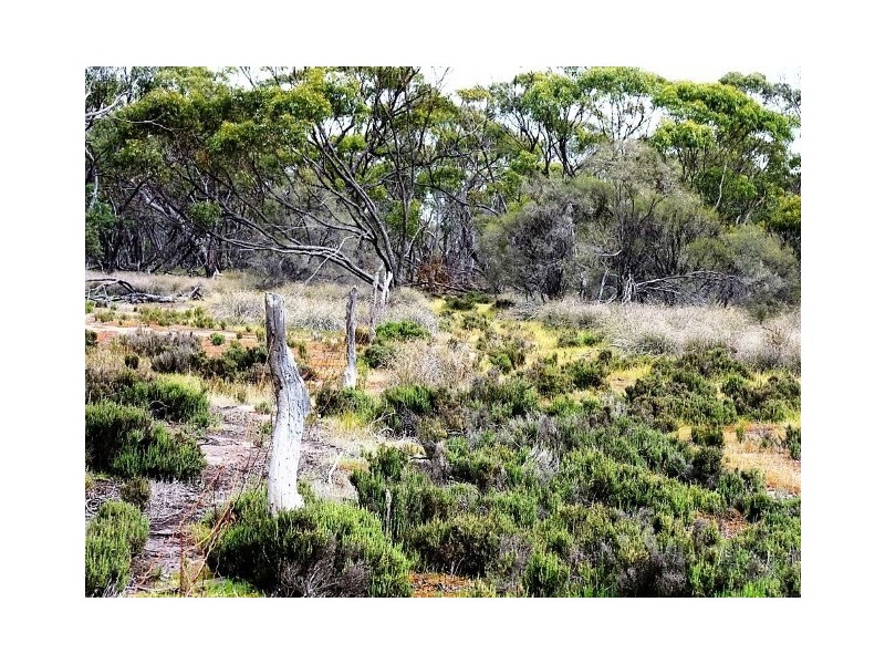 Lot  2560 Great Southern Highway, Highbury WA 6313
