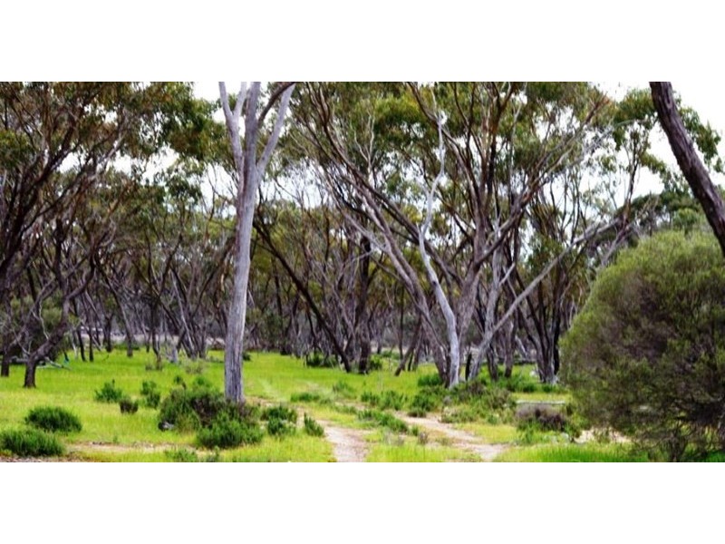 Lot  2560 Great Southern Highway, Highbury WA 6313