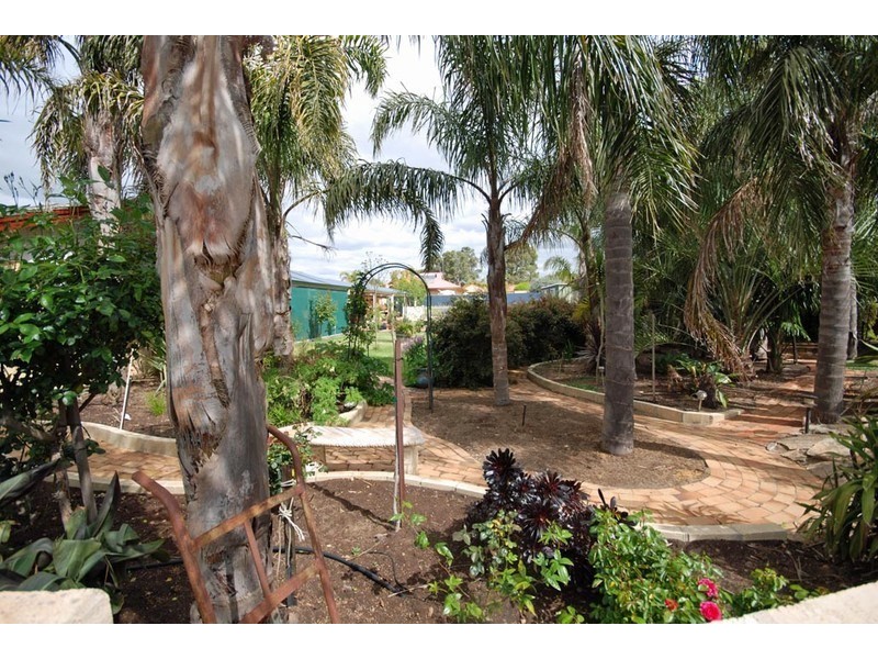 11 Florence Avenue, Narrogin WA 6312