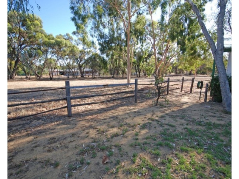 50 Havelock Street, Narrogin WA 6312