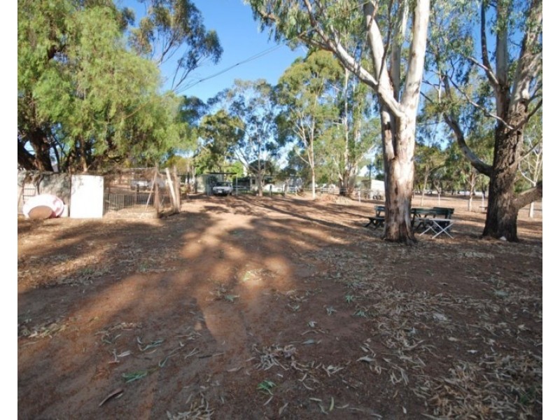 50 Havelock Street, Narrogin WA 6312