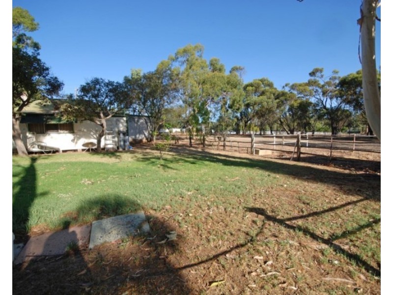 50 Havelock Street, Narrogin WA 6312