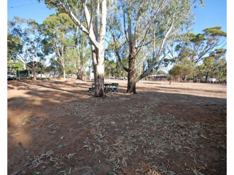 50 Havelock Street, Narrogin WA 6312