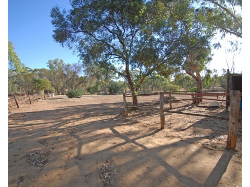 50 Havelock Street, Narrogin WA 6312