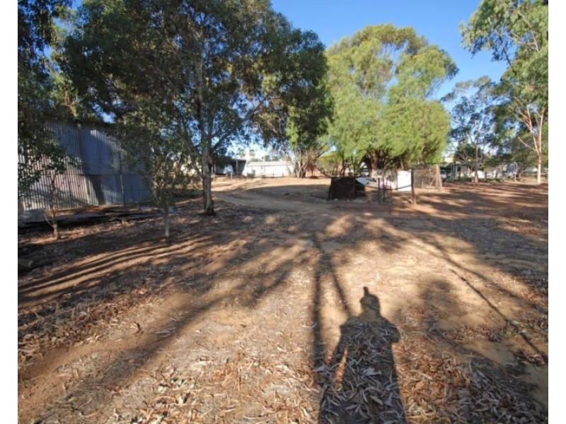 50 Havelock Street, Narrogin WA 6312