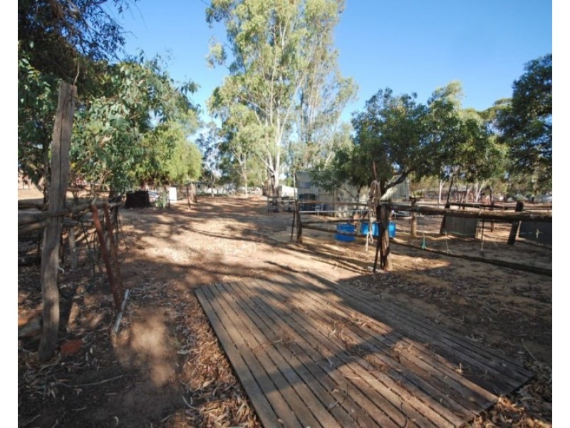 50 Havelock Street, Narrogin WA 6312