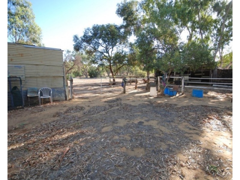 50 Havelock Street, Narrogin WA 6312