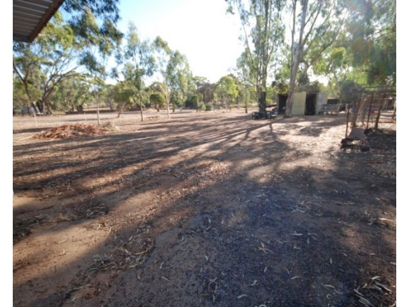 50 Havelock Street, Narrogin WA 6312