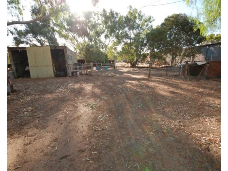 50 Havelock Street, Narrogin WA 6312