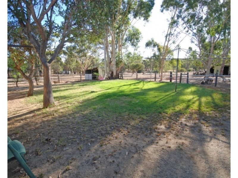 50 Havelock Street, Narrogin WA 6312