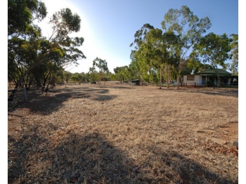 50 Havelock Street, Narrogin WA 6312