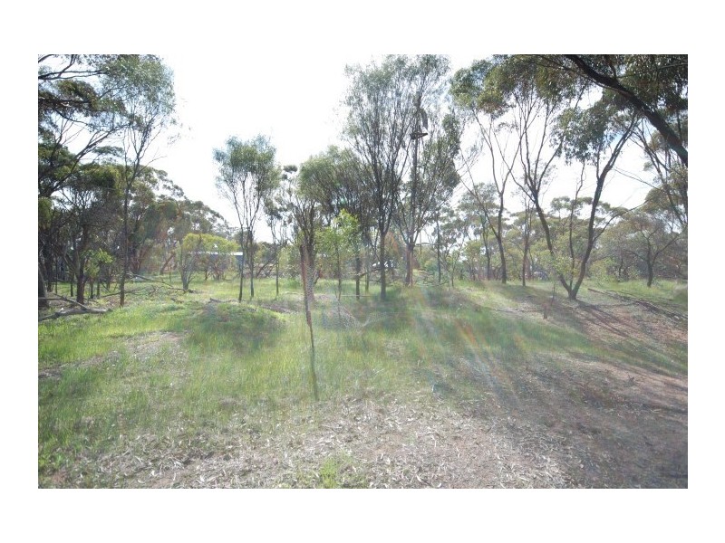 58 Pitt Street, Pingelly WA 6308