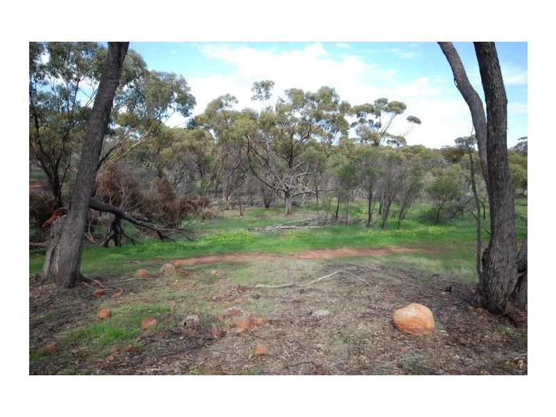 58 Pitt Street, Pingelly WA 6308