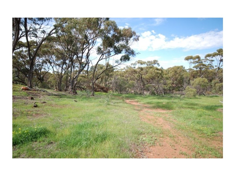 58 Pitt Street, Pingelly WA 6308