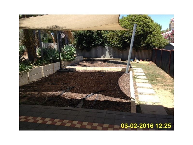 21 Argus Street, Narrogin WA 6312