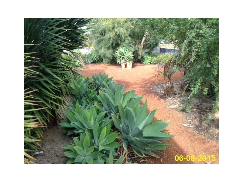 21 Argus Street, Narrogin WA 6312