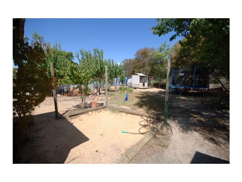 25 Furnival Street, Narrogin WA 6312