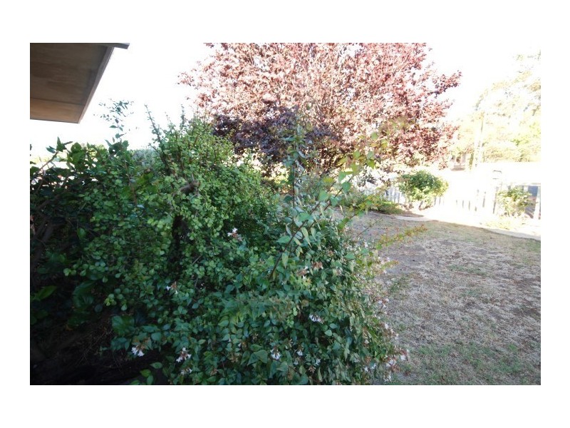 4 Butler Street, Narrogin WA 6312