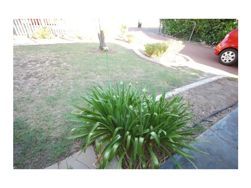 4 Butler Street, Narrogin WA 6312