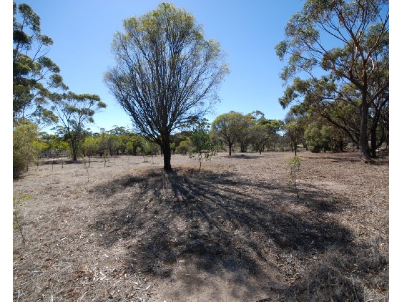 5 Railway Street, Pingelly WA 6308