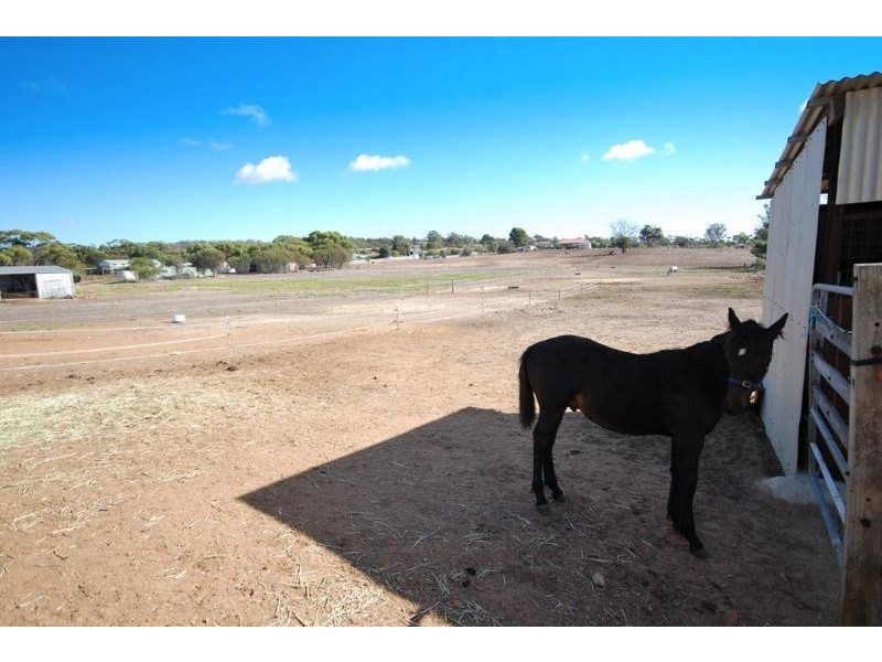 16 Dellar Street, Narrogin WA 6312