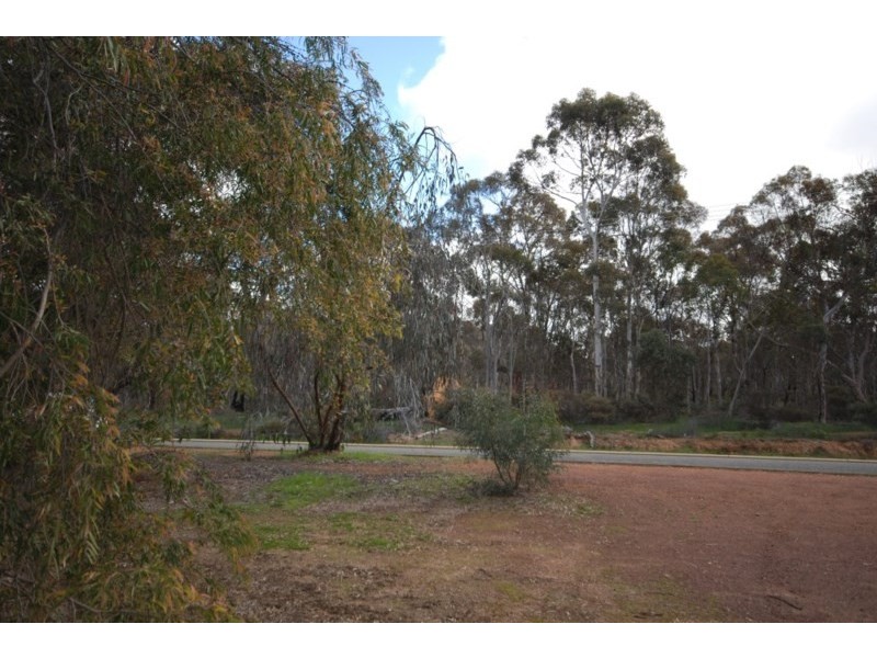 195 Narrakine Road, Narrogin WA 6312