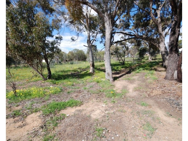 35 Eliot Street, Pingelly WA 6308