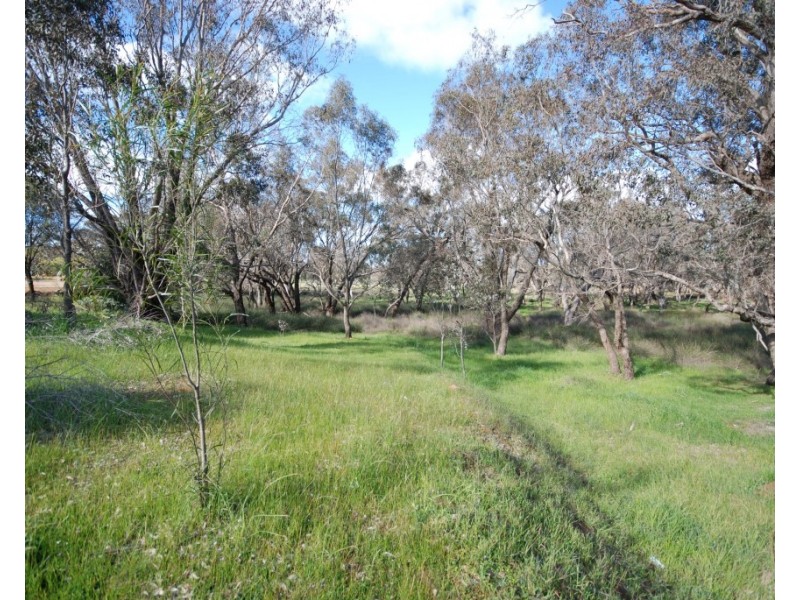 LOT 28 Albany Highway, Williams WA 6391