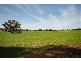 Lot 204 Great Southern Highway, Narrogin WA 6312