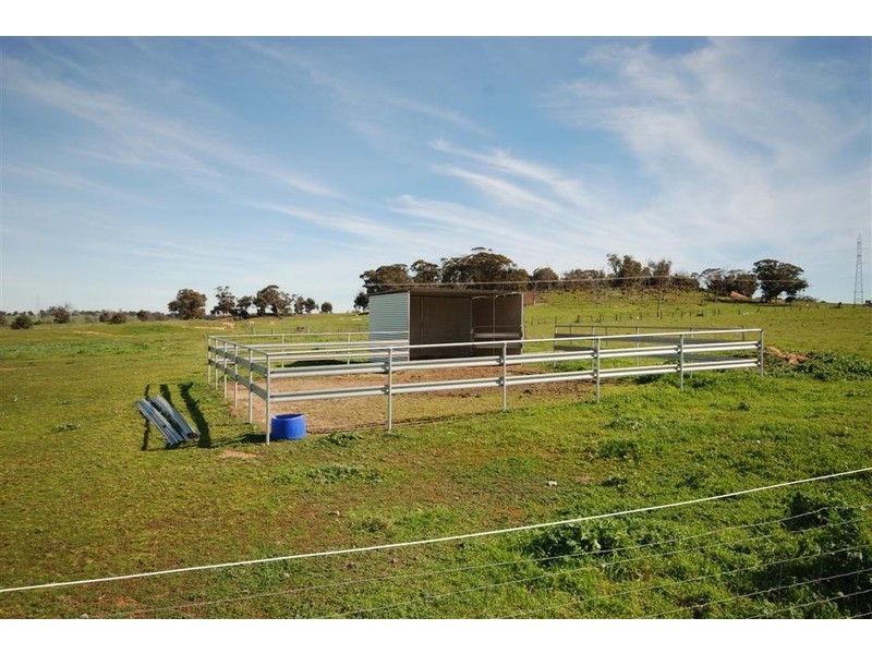 Lot 204 Great Southern Highway, Narrogin WA 6312