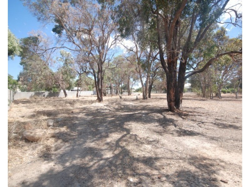 93 Lock Street, Narrogin WA 6312