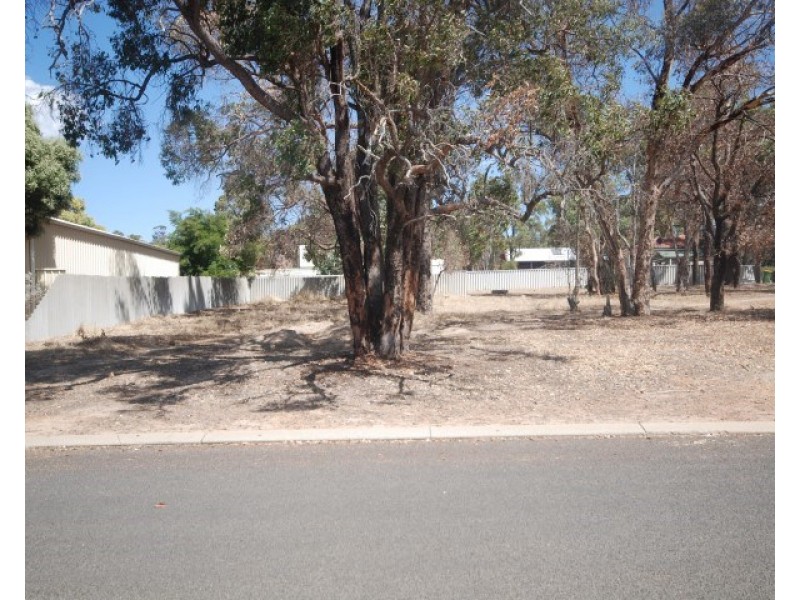 93 Lock Street, Narrogin WA 6312