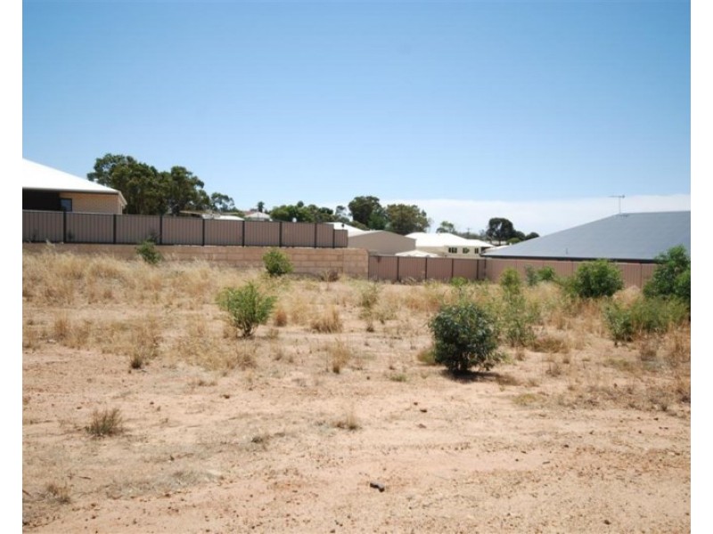 191 Narrakine Road, Narrogin WA 6312