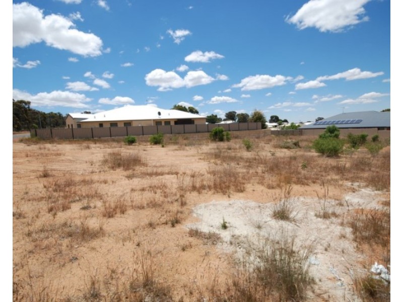 191 Narrakine Road, Narrogin WA 6312