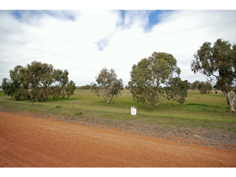 22 Alexandra Street, Popanyinning WA 6309