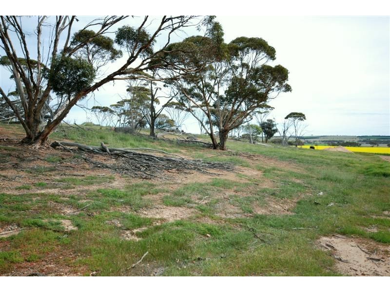 11115 Edwards Road, Dumbleyung WA 6350