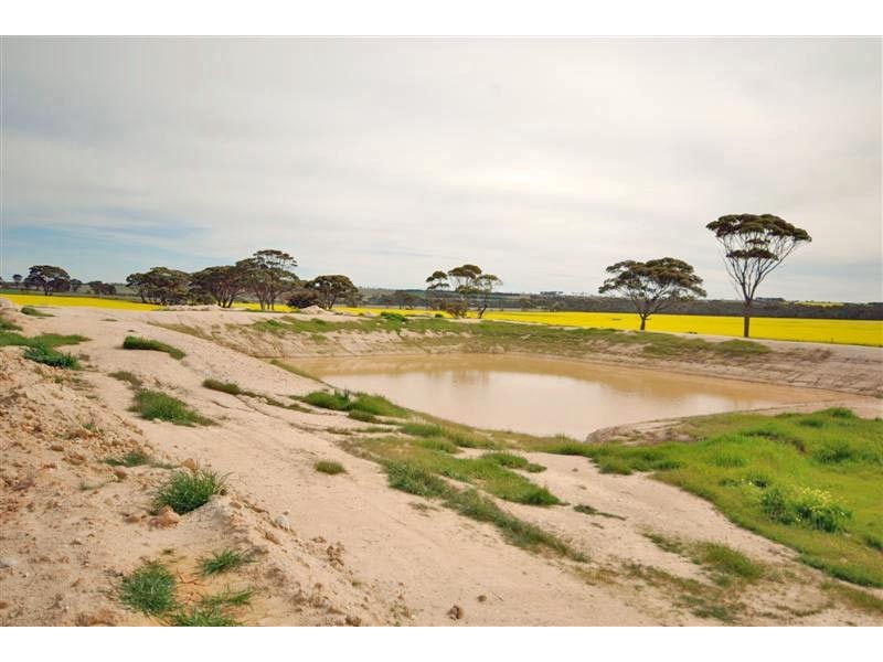 11115 Edwards Road, Dumbleyung WA 6350