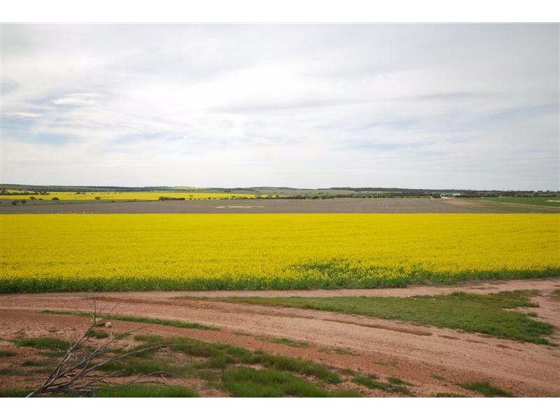 11115 Edwards Road, Dumbleyung WA 6350