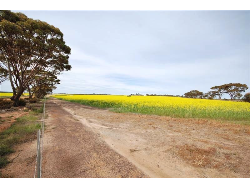 11115 Edwards Road, Dumbleyung WA 6350
