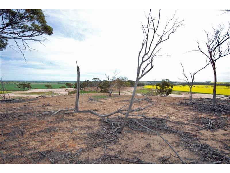 11115 Edwards Road, Dumbleyung WA 6350