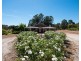 234 Mokine Road, Narrogin WA 6312