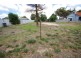 60 Bannister Street, Narrogin WA 6312