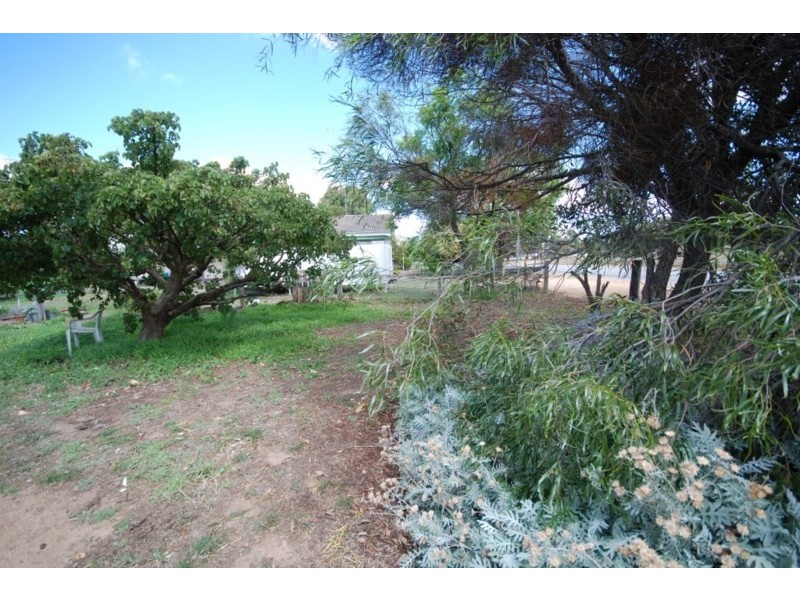 65 Narrakine Road, Narrogin WA 6312