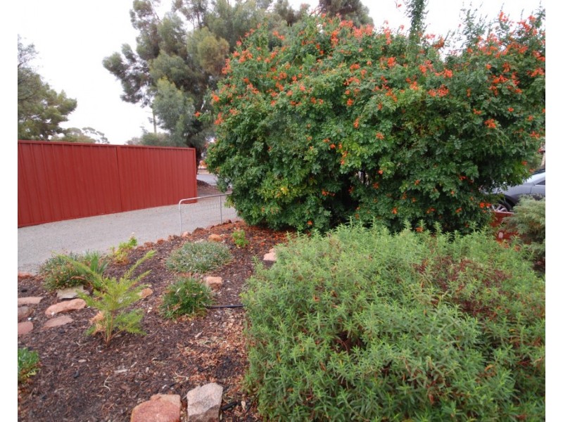 27 Johnston Street, Wagin WA 6315